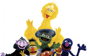 Sesame Street Tv Series Characters Wallpaper