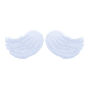 Set Your Spirit Free With Dove Wings