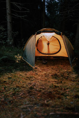 Sexual Camping Night Wallpaper