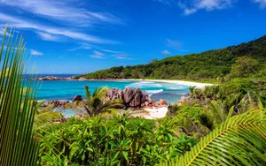 Seychelles Anse Cocos Wallpaper