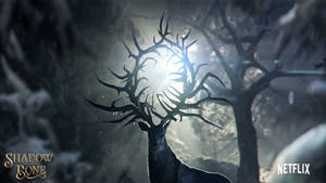 Shadow And Bone Moonlight Deer Wallpaper