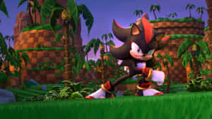 Shadow_in_ Green_ Hill_ Zone Wallpaper