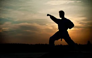 Shadow Of Tai Chi Athlete Wallpaper