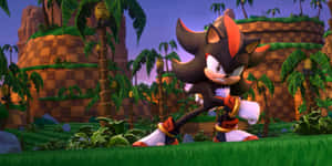 Shadowin Green Hill Zone Sonic Prime Wallpaper