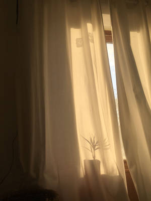 Shadows And Curtains In Tan Aesthetic Wallpaper