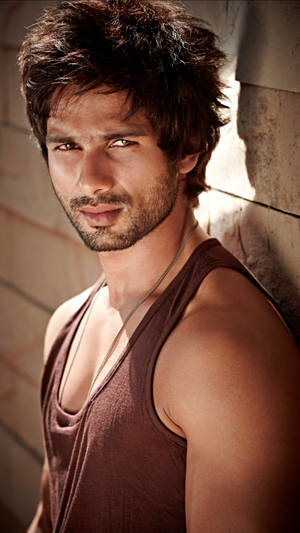 Shahid Kapoor Bollywood Hd Wallpaper