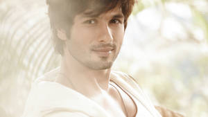 Shahid Kapoor International Actor Wallpaper