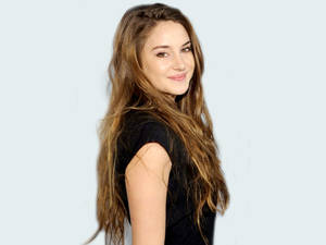 Shailene Woodley In Light Gray Background Wallpaper