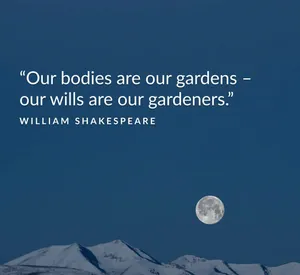 Shakespeare Health Quote Mountain Moon Wallpaper