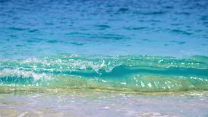 Shallow Beach Wave Wallpaper