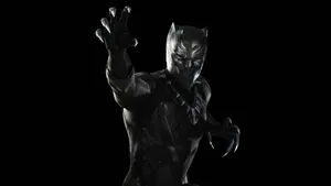 Share The Wild Beauty Of Black Panther Country Wallpaper