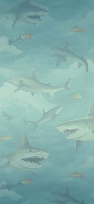 Shark_ School_ Artistic_ Rendering.jpg Wallpaper