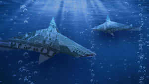 Shark Tank Investment Strategies Wallpaper