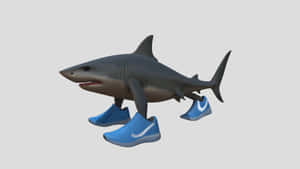 Shark Wearing Blue Sneakers Wallpaper