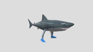 Shark Wearing Blue Sneakers Wallpaper