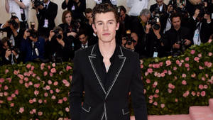 Shawn Mendes Met Gala 2019 Wallpaper