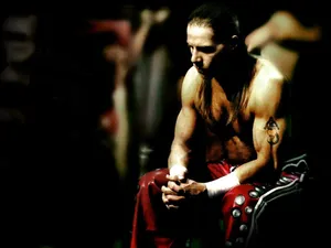 Shawn Michaels Three-time Wwf Champion Wallpaper
