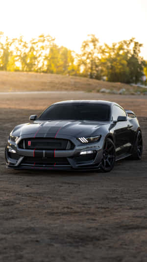 Shelby G T500 Muscle Car Sunset Wallpaper