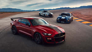 Shelby G T500 Trio Racetrack Wallpaper