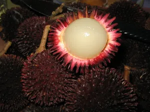 Shelled Ripe Pulasan Fruit Wallpaper