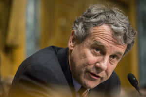 Sherrod Brown Looking Up From Desk Wallpaper