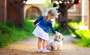 Shih Tzu Friends With Little Girl Wallpaper