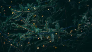 Shimmering Christmas Aesthetic Computer Desktop Background Wallpaper