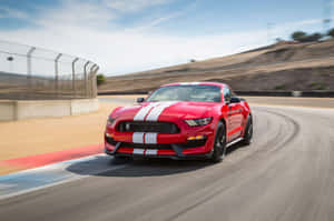 Shining Ford Mustang Shelby Gt350 On An Open Road Wallpaper