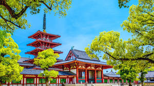 Shintennoji Temple Osaka Wallpaper