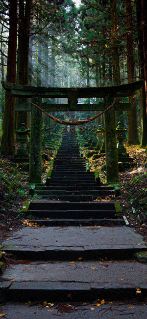 Shinto Gate Iphone Amoled Wallpaper