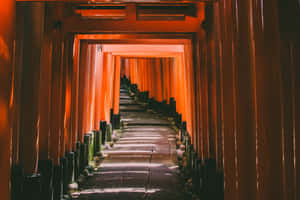 Shinto Shrine Trails Lead Into Forest Wallpaper