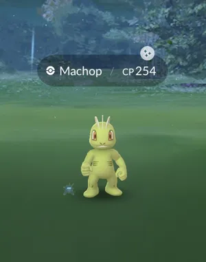 Shiny Machop Excitement In Pokemon Go Wallpaper