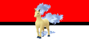 Shiny Rapidash Pokemon Red Background Wallpaper