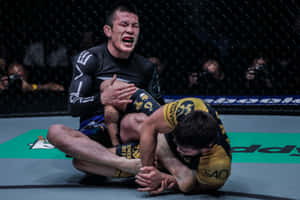 Shinya Aoki Ankle Lock Garry Tonon Wallpaper