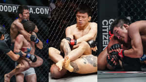 Shinya Aoki One Championship Fights Compilation Wallpaper