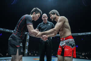 Shinya Aoki Shaking Hand Marat Gafurov Wallpaper