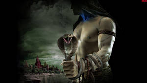 Shiva Bholenath With Cobra 3d Wallpaper