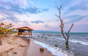 Shoreline Of Burundi With Clear Water Wallpaper