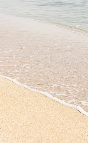 Shot Of Beige Minimalist Sand Wallpaper