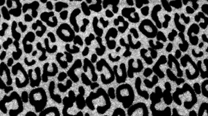 Show Off Your Animal Style With Black And White Animal Print Wallpaper