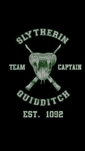 Show Your Hogwarts House Pride And Support The Hogwarts Quidditch Team! Wallpaper