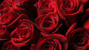 Show Your Love This Valentine's Day With A Bouquet Of Red Roses Wallpaper