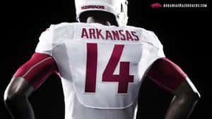 Show Your Support For The Arkansas Razorbacks Wallpaper