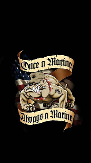 Show Your Support For The Us Marine Corps Wallpaper