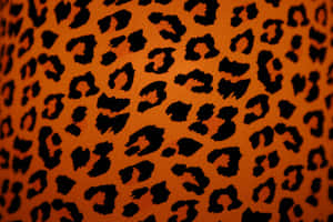 Show Your Wild Side With Animal Print Wallpaper