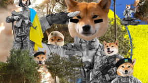 Showing Love And Affection