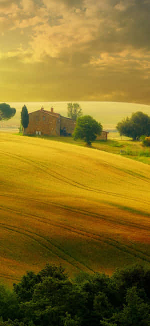 Showing Off The Latest Apple Iphone 13 Mini. Wallpaper