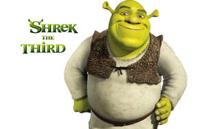 Shrek 4k Shrek Solo Smiling Wallpaper