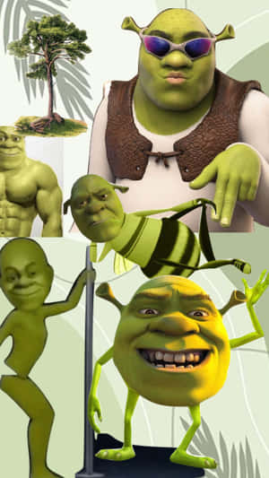 Shrek Character Collage Wallpaper