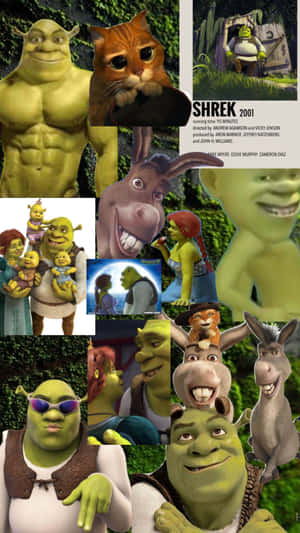 Shrek Characters Collage Wallpaper